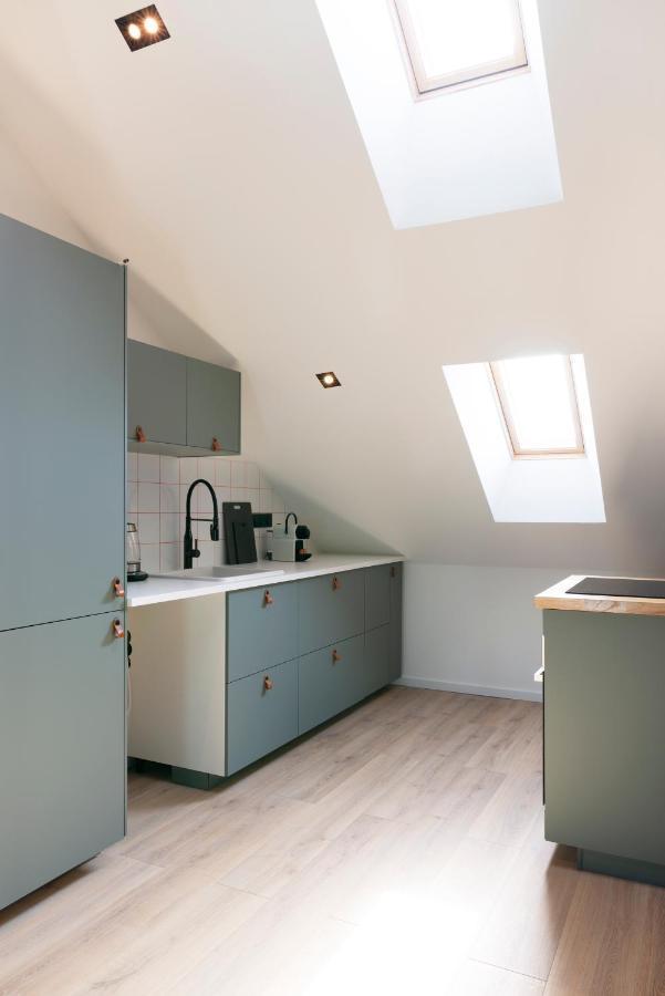 Le Merveilleux D'About Appartement Nancy Buitenkant foto